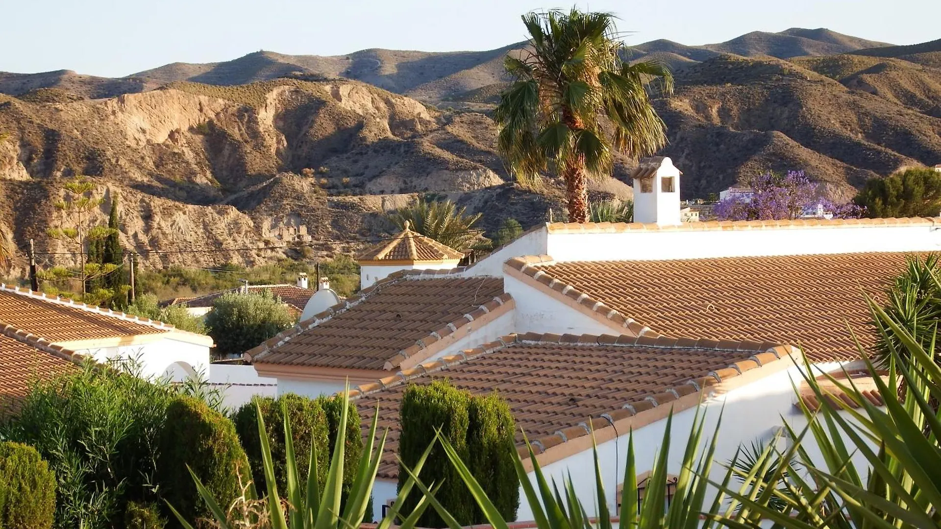Great Apartment In Arboleas